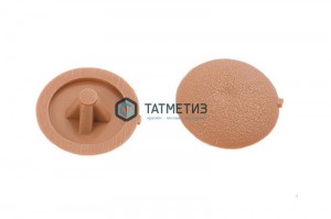 Заглушка PH2 БУК (1000 шт/уп) | «ТАТМЕТИЗ» Заглушка PH2 БУК (1000 шт/уп) - магазин крепежа «ТАТМЕТИЗ»